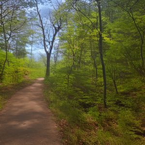hiking trail in murfreesboro tn